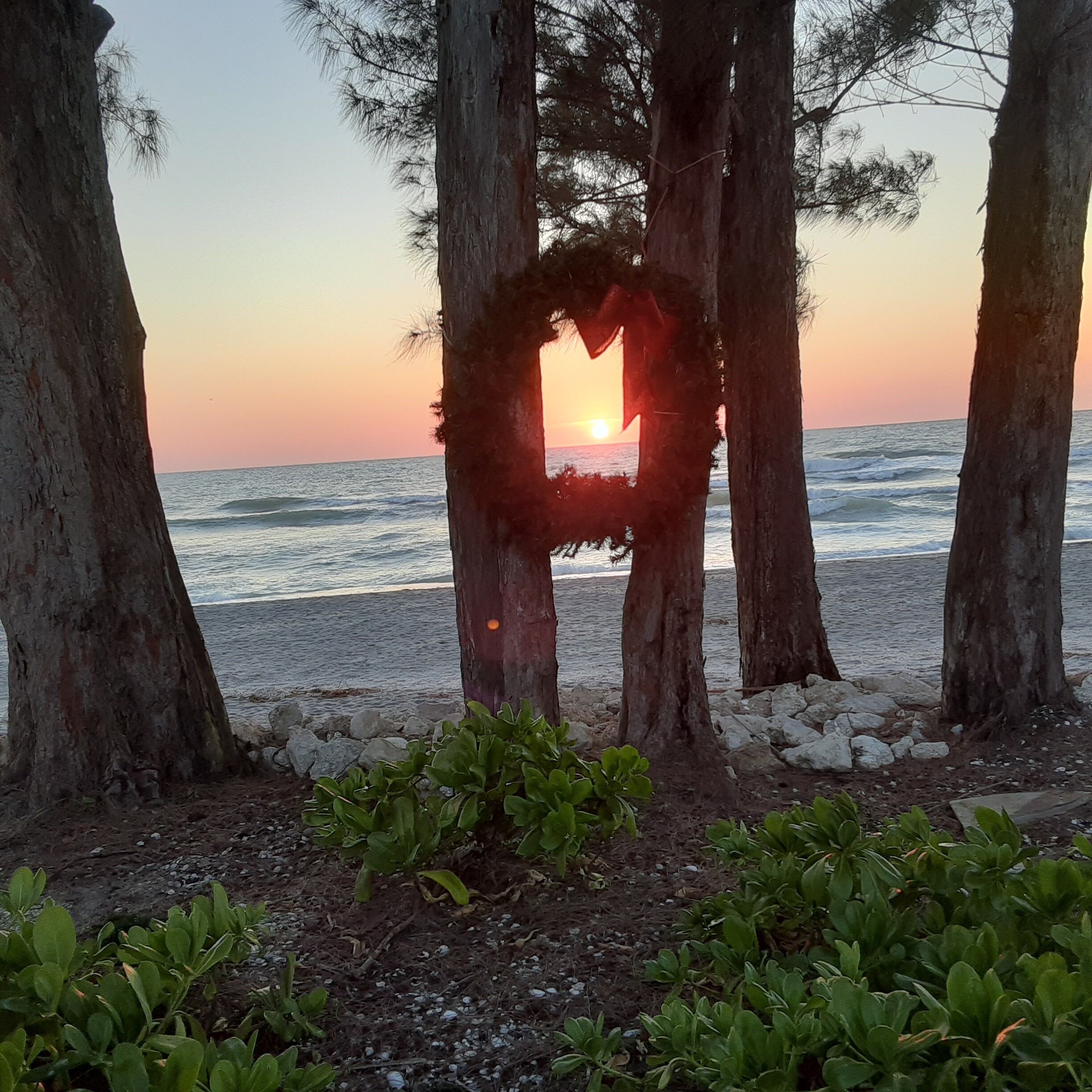 Gulf Front - 2/1 Private House/Beach - Spectacular Views