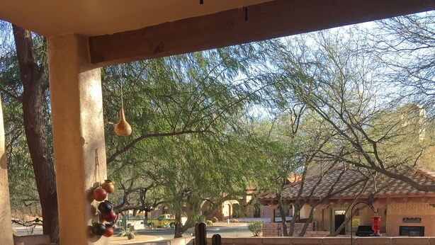 Un espace extérieur aménagé en patio, avec une table dressée pour les repas, entouré de murs en briques et agrémenté d’un cactus.