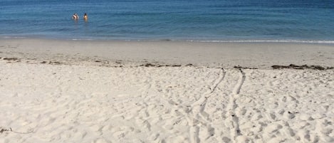 Chaises longues, serviettes de plage