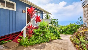 Eksteriør