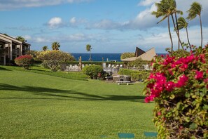 Property grounds - Fantastic Ocean View Steps to Kamaole Beach 3 (Kihei)