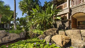 Um jardim tropical com pedras grandes, vitórias-régias e vegetação exuberante.