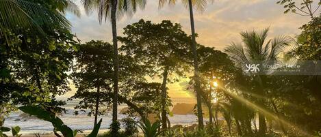 On the beach, beach towels