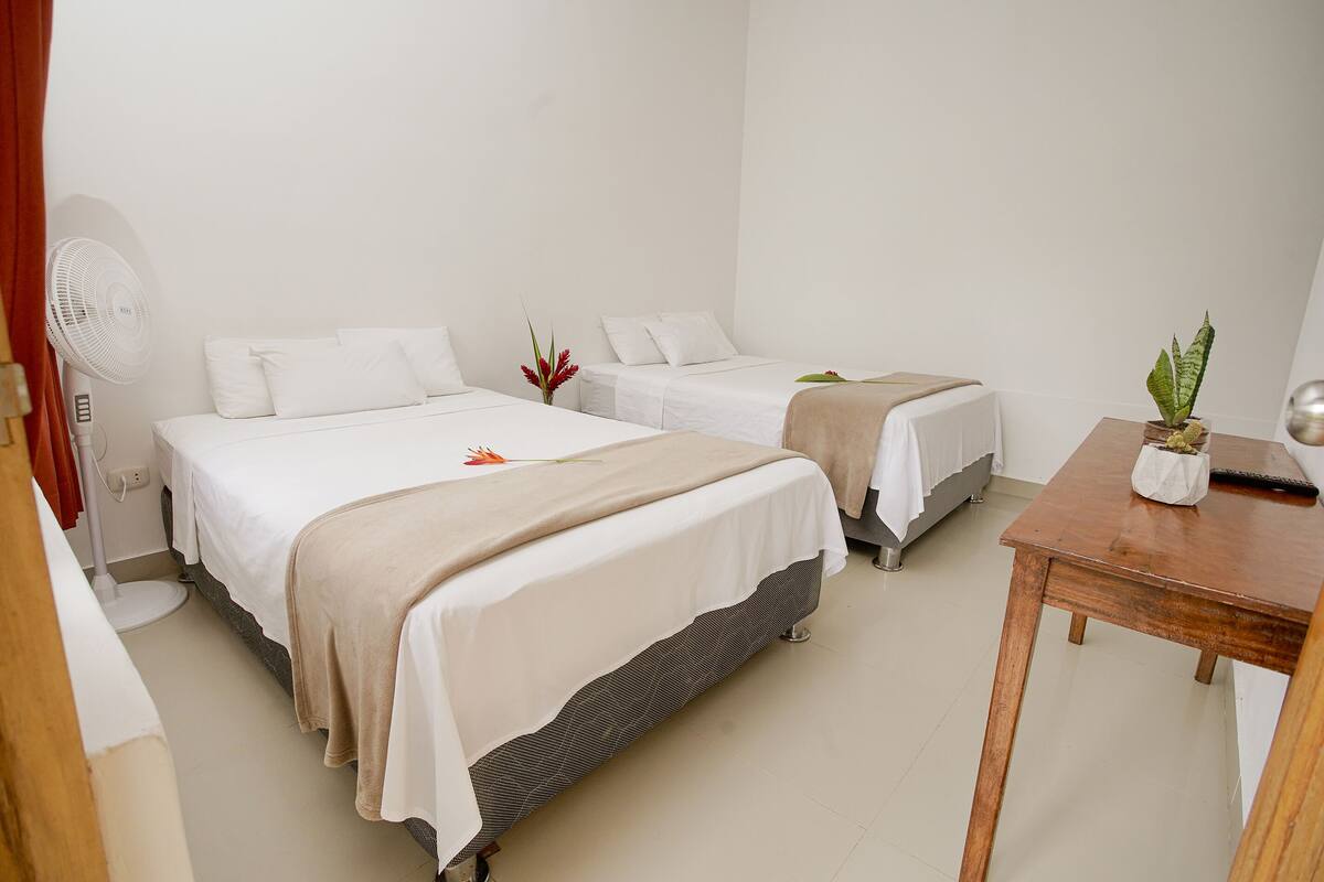 Une chambre d’hôtel avec deux lits, une table de chevet, un ventilateur, une plante en pot et une petite table.