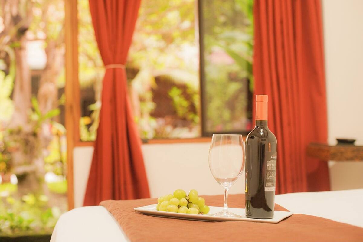Une table avec une bouteille de vin, un verre et une assiette de raisins, dans une pièce aux rideaux rouges et dont la fenêtre donne sur un paysage verdoyant.