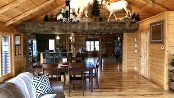 TV, fireplace, books