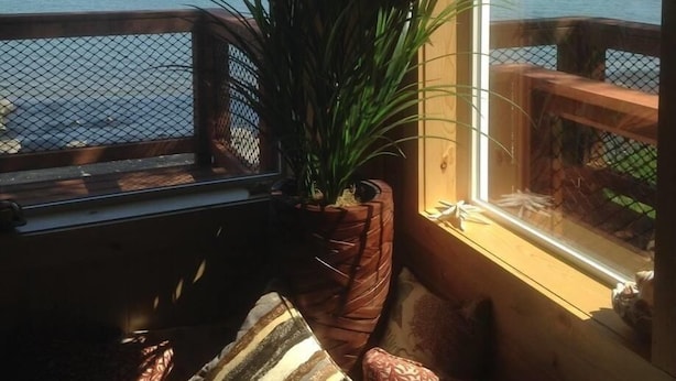 Habitación con vista a un lago y montañas. Incluye una banca de madera y una planta grande en maceta.