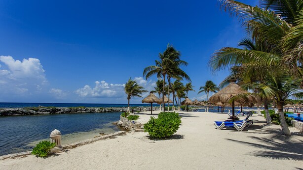 A beach with thatched umbrellas, palm trees, and lounge chairs. - Listen to the ocean at night! (puerta aventuras)