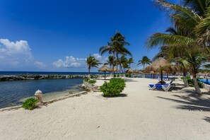 A beach with thatched umbrellas, palm trees, and lounge chairs. - Listen to the ocean at night! (puerta aventuras)
