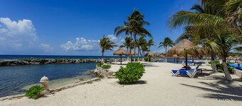 Listen to the ocean at night!