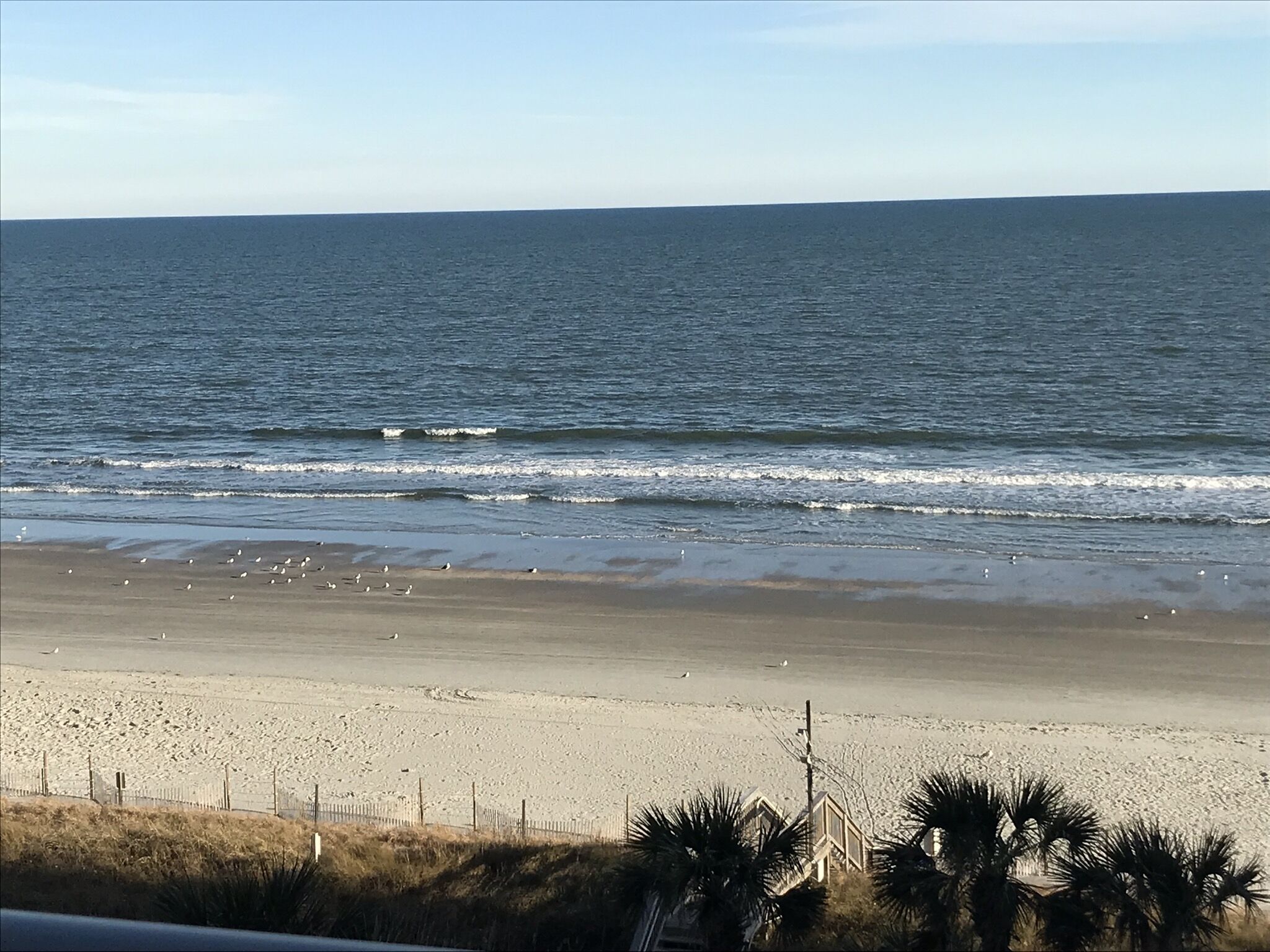 Direct oceanfront in Seawatch South Tower!