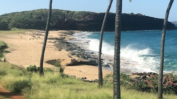 On the beach, sun-loungers, beach towels
