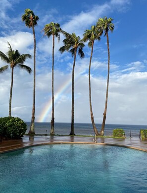 A swimming pool with palm trees and a rainbow in the background.