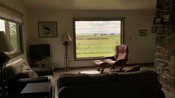 Télévision, cheminée, table de tennis de table