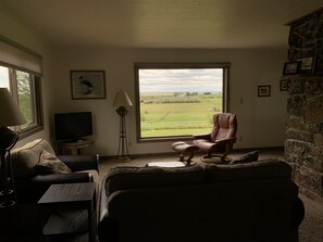 TV, fireplace, table tennis