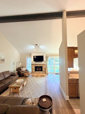 TV, fireplace, books