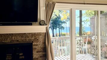 TV, fireplace, books