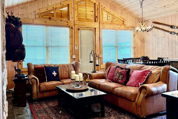 Living room - views of mountains, cathedral ceilings, lots of natural sunlight