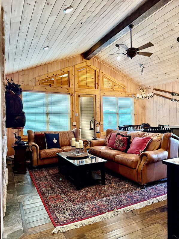 TV, fireplace, DVD player, books