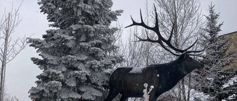 Un gran alce de pie en un campo nevado, con un árbol cubierto de nieve al fondo.
