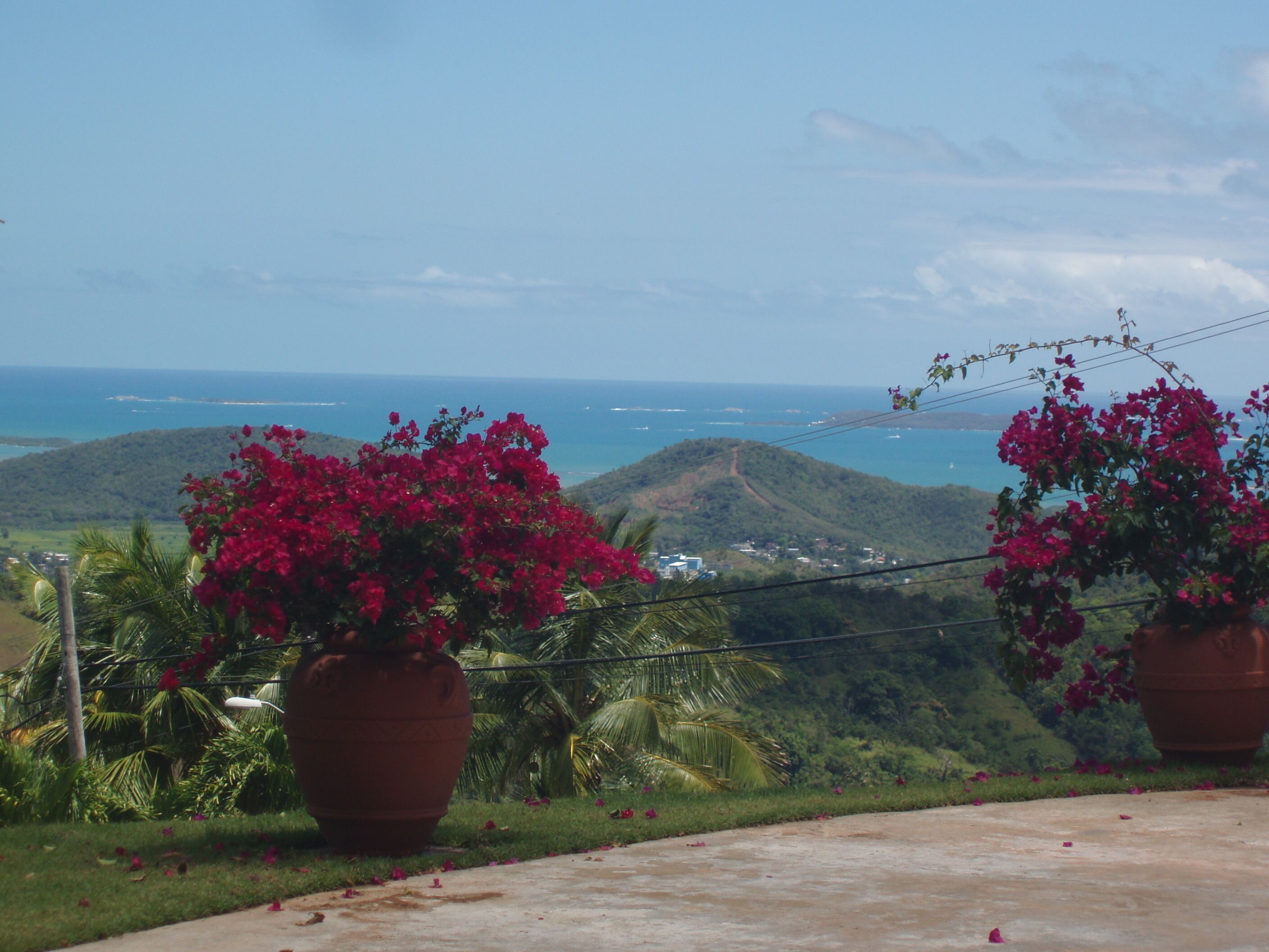 A view of a coastal landscape with a clear sky, featuring two large terracotta pots with vibrant red flowers in the foreground.