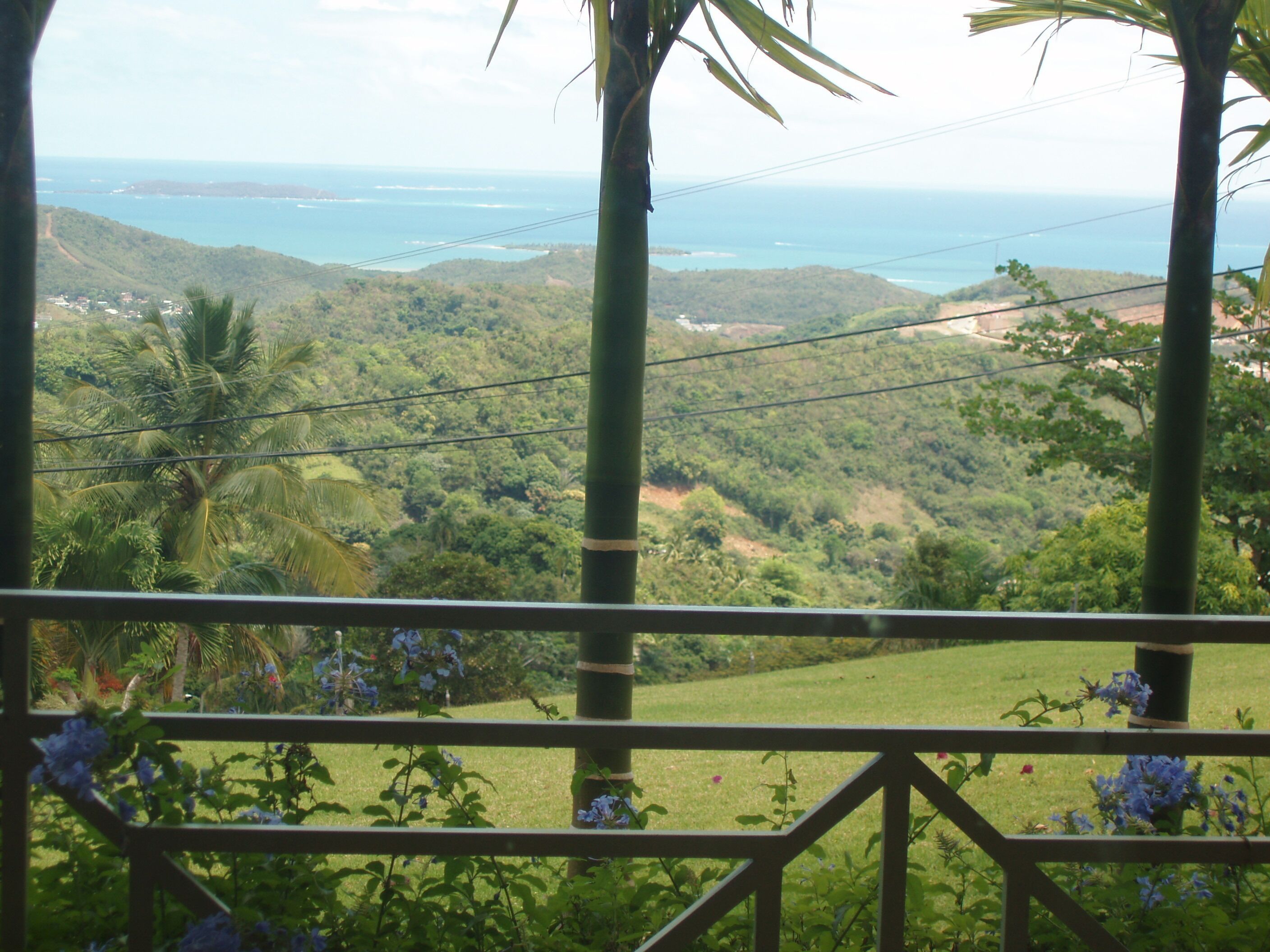 A view from a balcony overlooking a lush landscape with a body of water in the distance.
