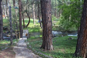 Property grounds - Storybook Cottage in the Heart of the Big Horn Mountains (Story)