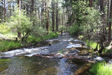 Property grounds. Storybook Cottage in the Heart of the Big Horn Mountains