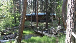 A cabin in a forest with a wooden bridge over a stream. - Storybook Cottage in the Heart of the Big Horn Mountains (Story)