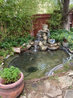 Property grounds - Sandia Heights Getaway_VIEWS, UPSCALE, 3BR (Albuquerque)