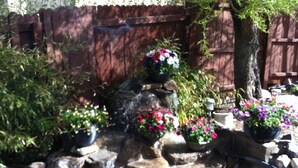 Un jardin agrémenté d’un élément aquatique, de plantes en pot et d’une clôture en bois.
