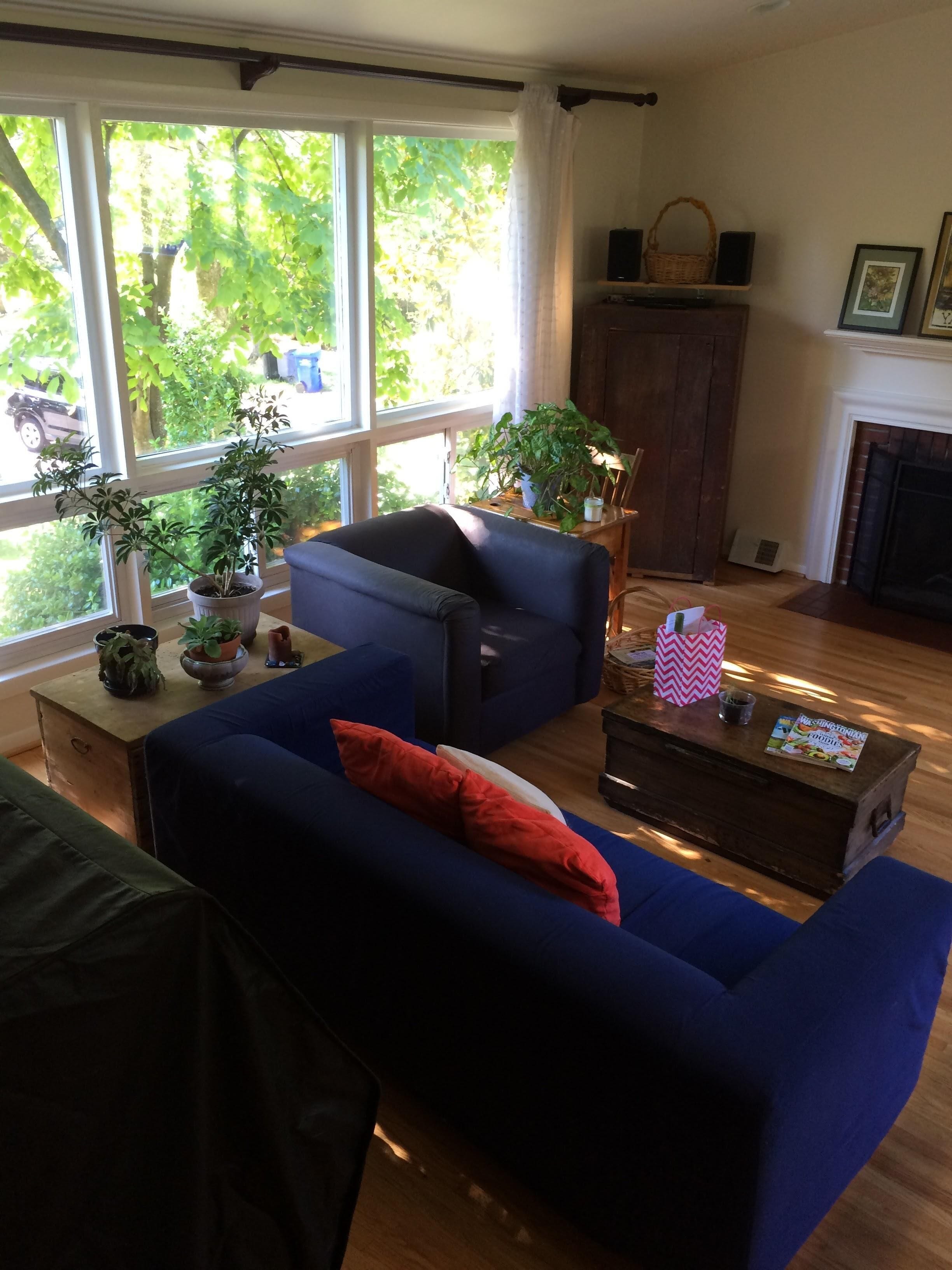 Green, sunny modern home, convenient to DC