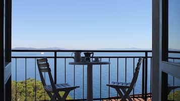 Biệt thự, 4 phòng ngủ | Quang cảnh ban công