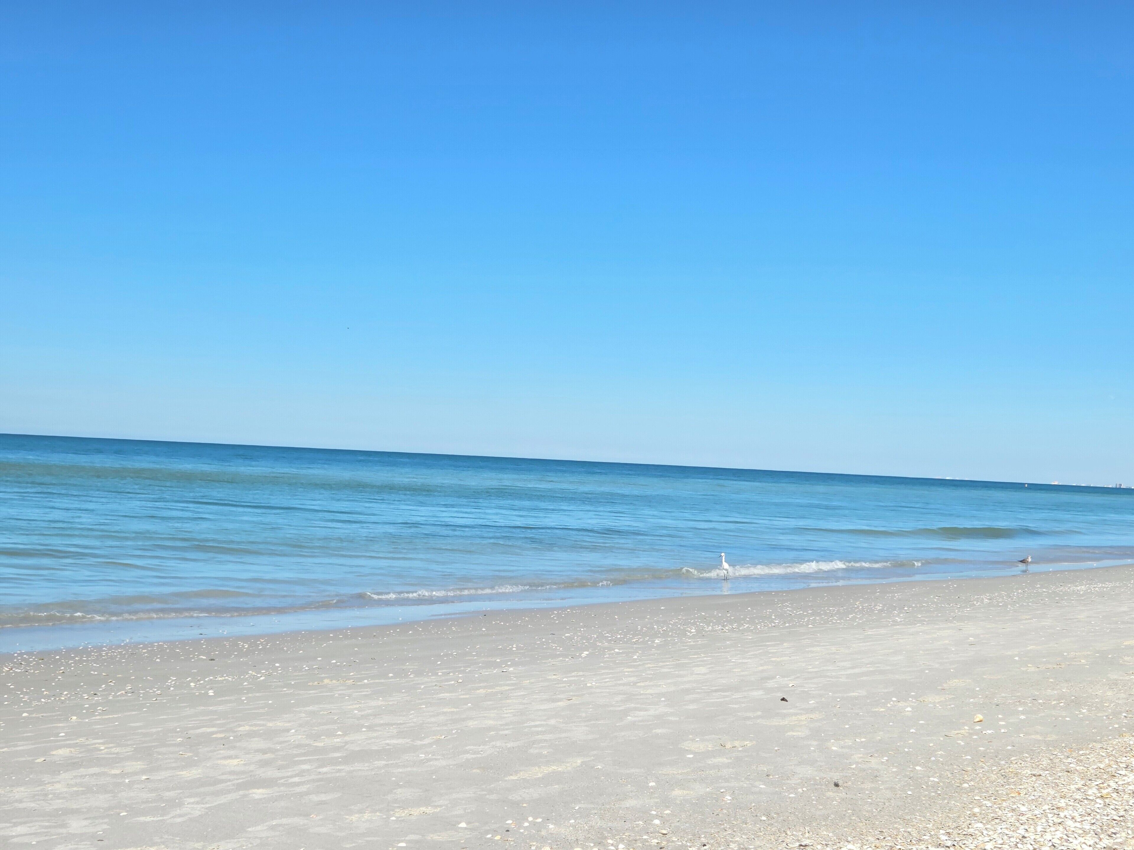 サンラウンジャー、ビーチタオル