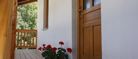 Detalle del exterior