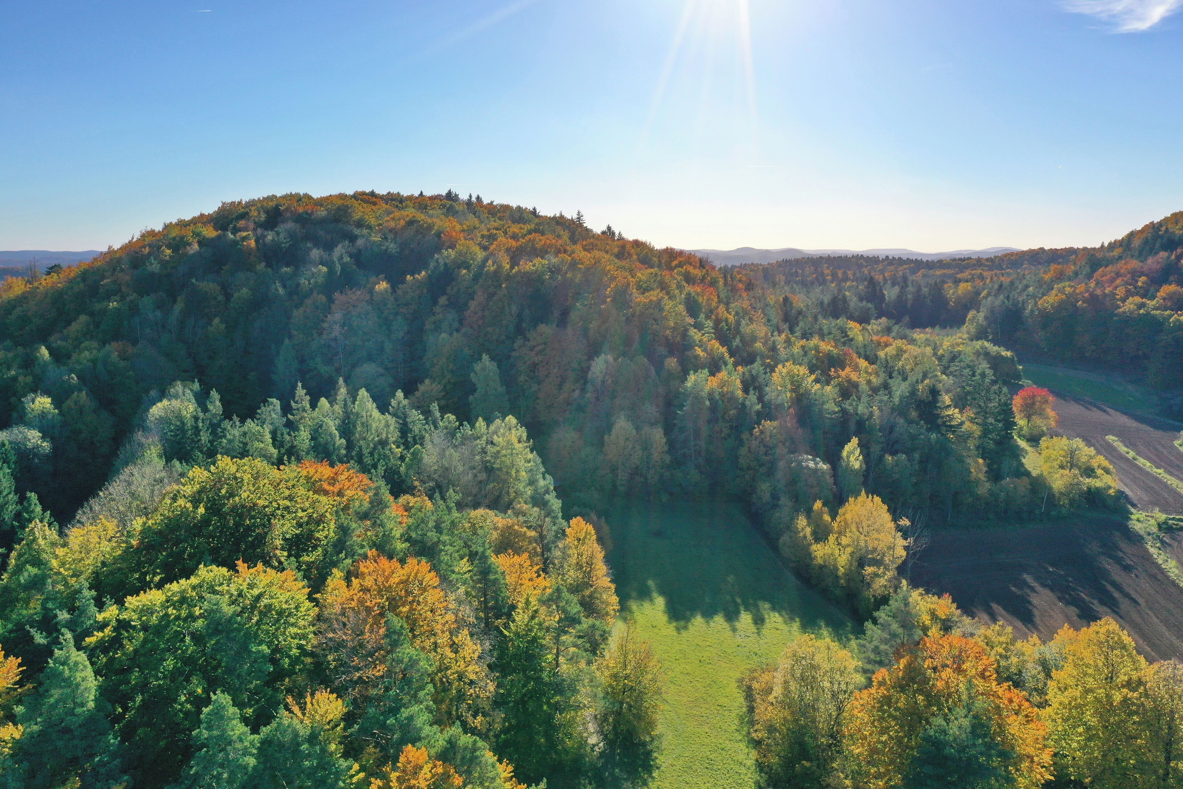 A forested landscape with a river and a road.