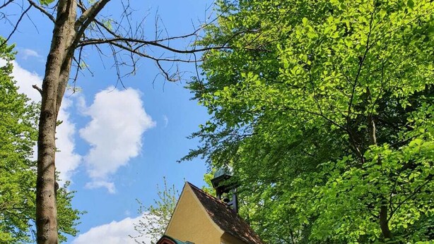 A small, yellow building with a green roof, surrounded by lush greenery and trees. - Gasthof Zur Post (Königstein)