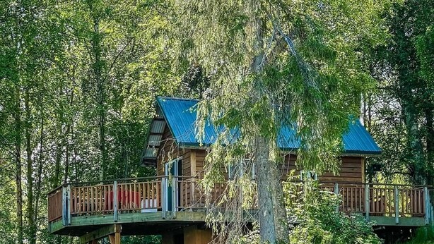 Una baita di legno con tetto blu, immersa nel verde e circondata da alberi.