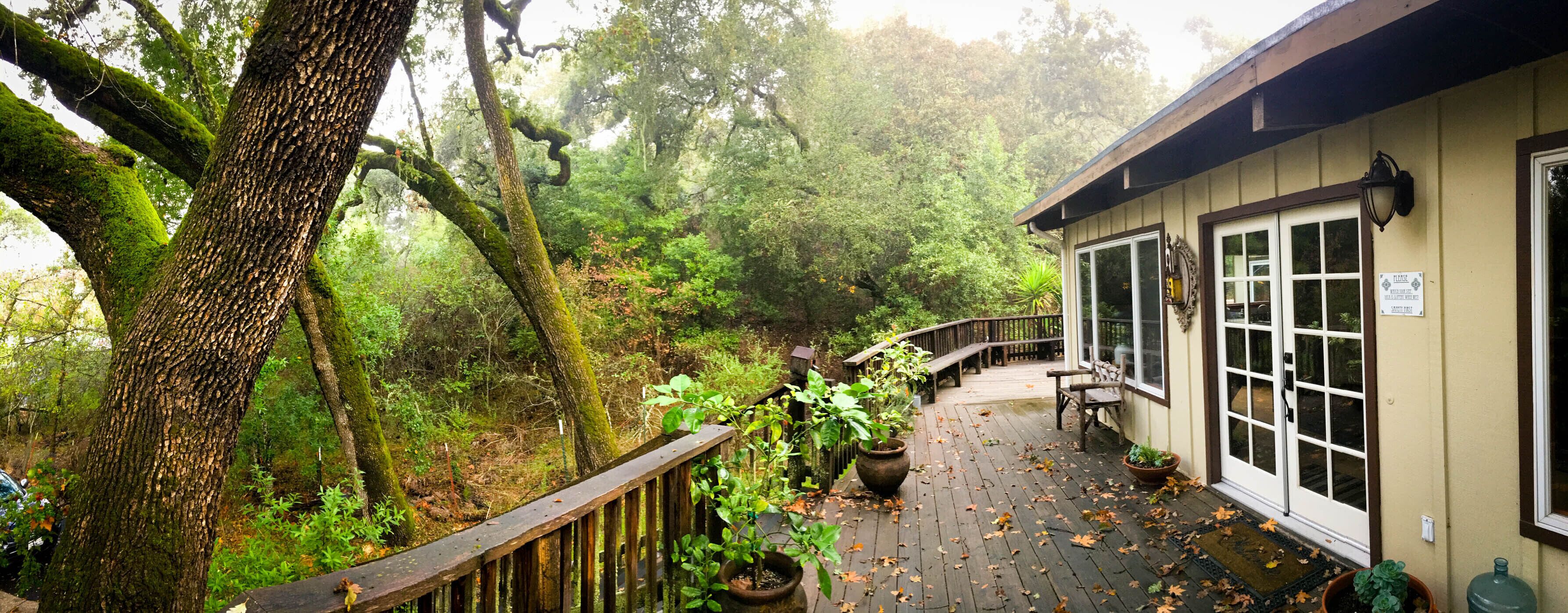 Une terrasse en bois agrémentée de plantes en pot, d’un banc et d’un bâtiment doté de grandes fenêtres et d’une porte.