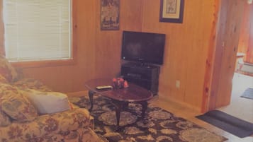 Flat-screen TV, fireplace, DVD player