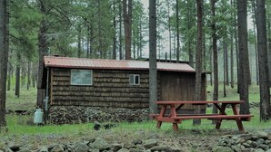 Una cabaña rústica con cimientos de piedra y fachada de madera, rodeada por un bosque denso.