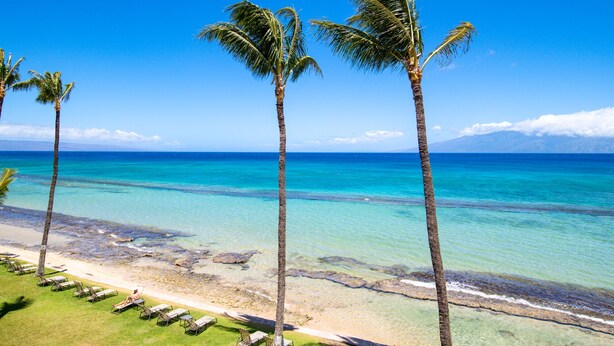 A beach with clear turquoise water, palm trees, and a row of sun loungers. - NOTHING BUT OCEAN VIEWS! Remodeled, AC, direct ocean front, large 2bd/2bth (Lahaina)
