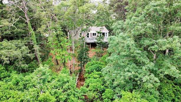 A house surrounded by dense forest. - Charming Cape Cod cottage on Depot Pond & bike trail with pond access (Eastham)