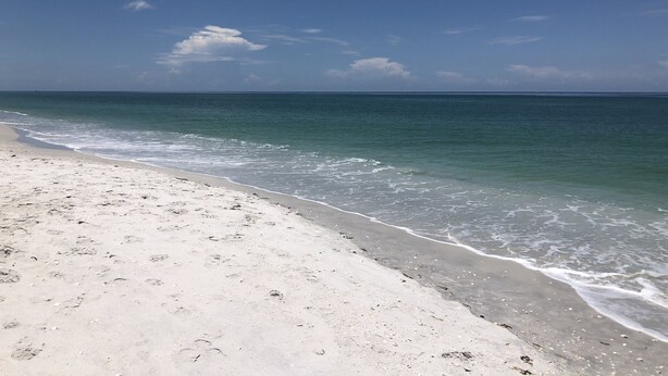 Ein Strand mit klarem, blauem Wasser und einem sandigen Ufer.