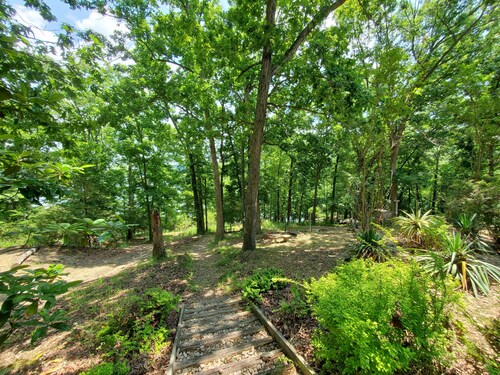 Hog Heaven-Lakefront-2 Kitchens, 2 Living Areas, Private & Wooded