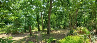 Hog Heaven - Lakefront med 3 soverom, 3. 5 bad + uttrekkbar sengeplasser opp til 12