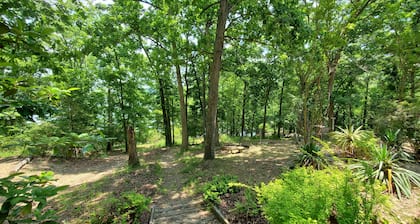 Hog Heaven-Lakefront-2 Kitchens, 2 Living Areas, Private & Wooded