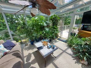 TV, fireplace, DVD player, books