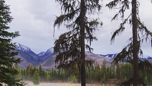 A lakeside view with mountains in the background, surrounded by trees and a wooden bench. - "Elk's Run"  Rustic Cabin Hidden Among The Pines At Falls Creek. (Condon)