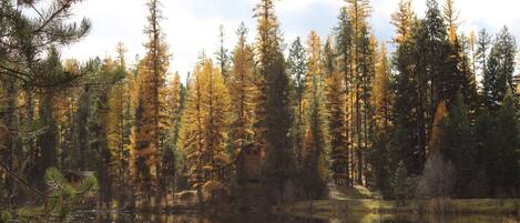 Dusch, hårtork, handdukar och tvål